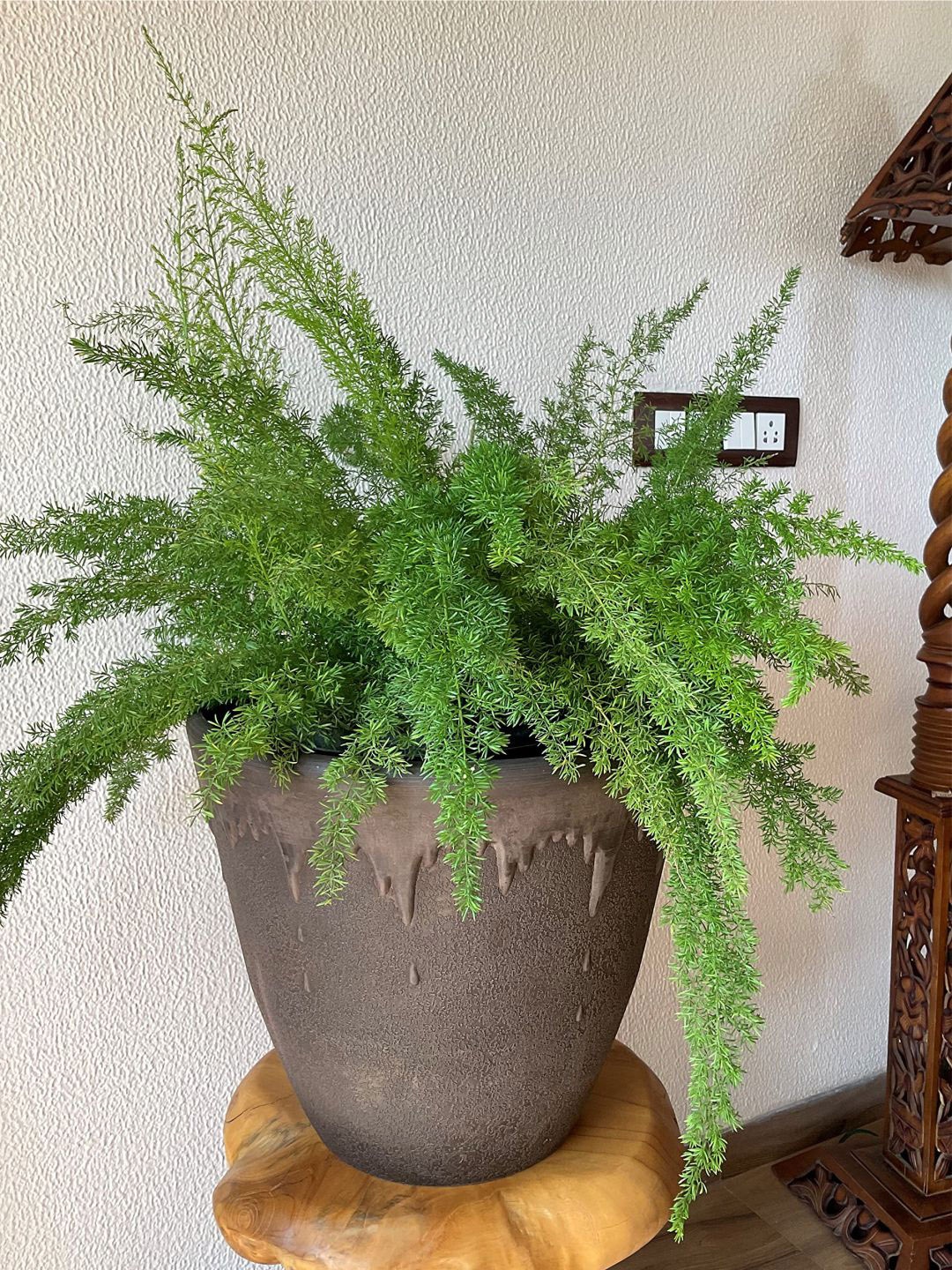 

The Art House Charcoal Textured Ceramic Planters