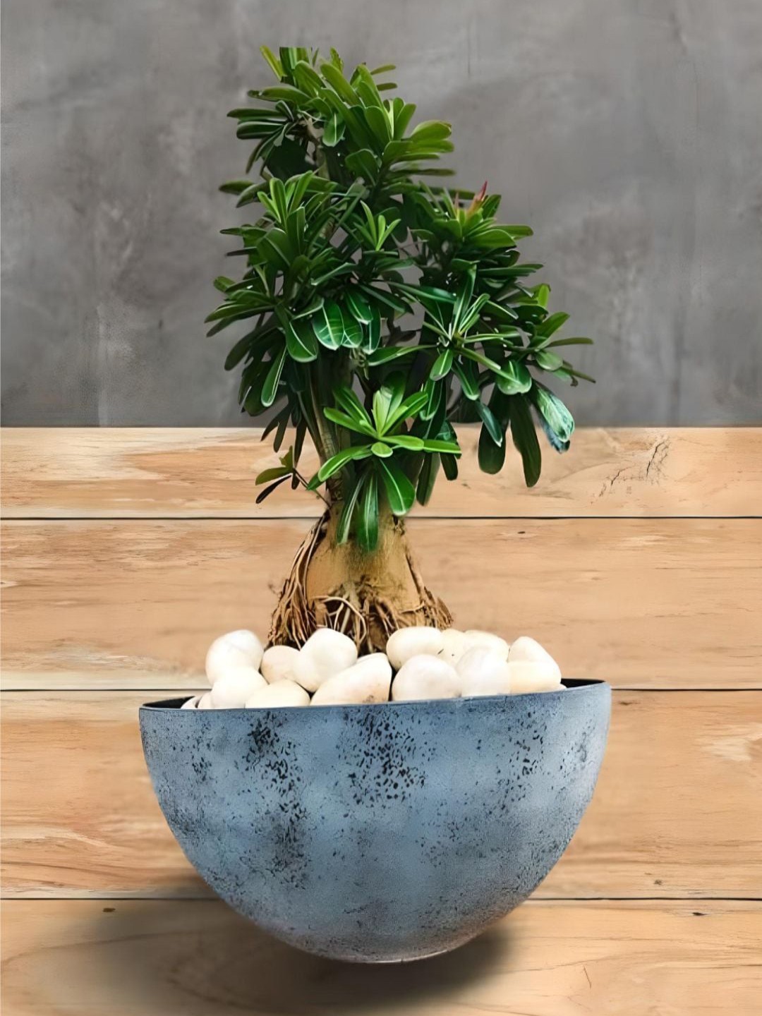 

The Art House Blue Ceramic Textured Planters