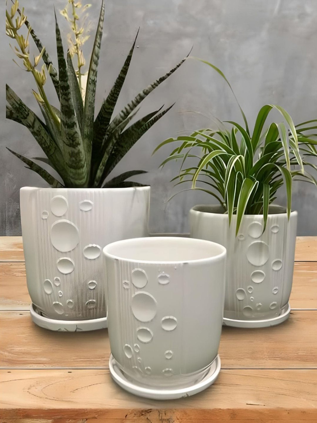 

The Art House White 3 Pieces Ceramic Textured Planters Planters With Holder