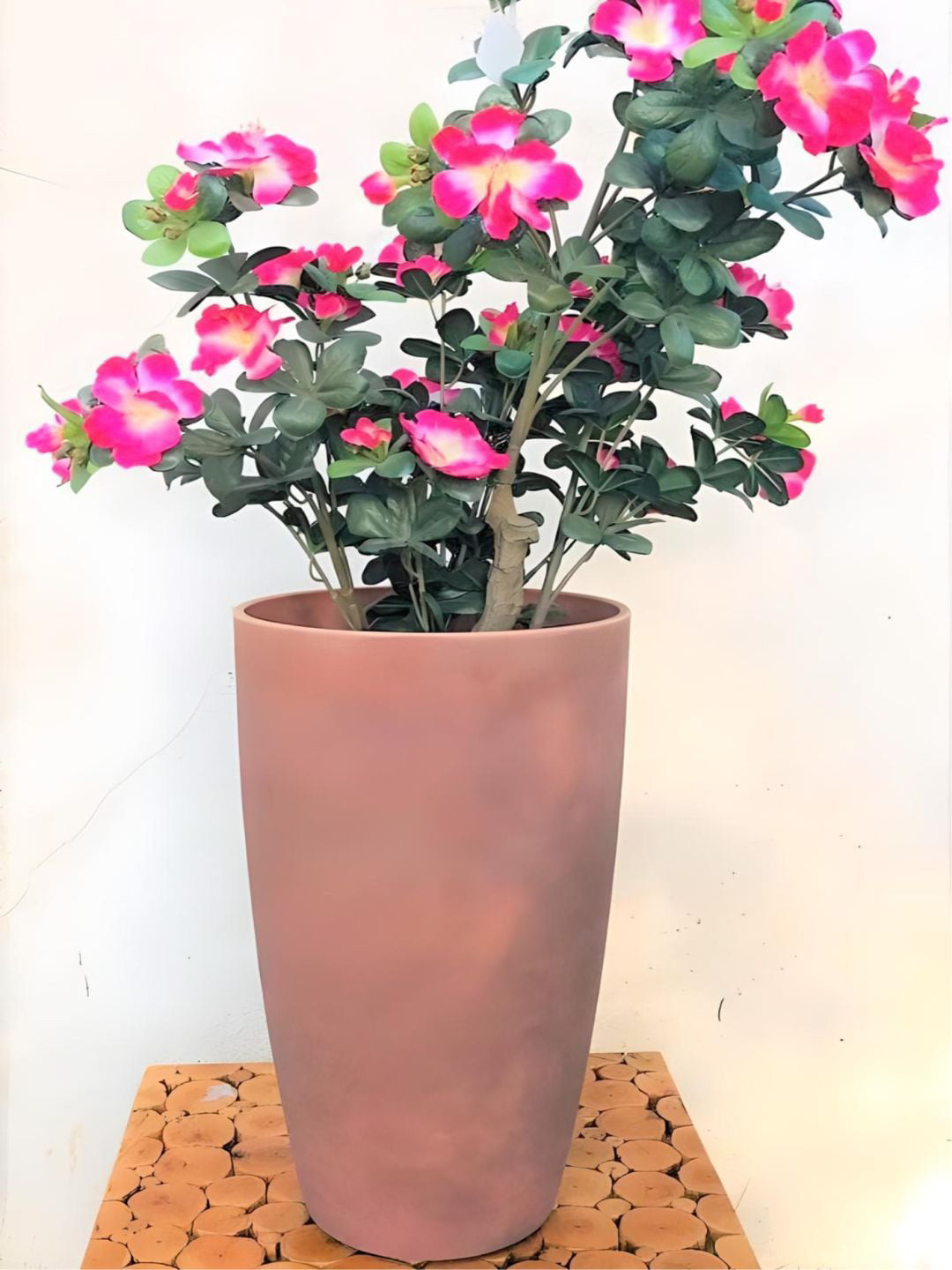 

The Art House Peach Textured Ceramic Planter