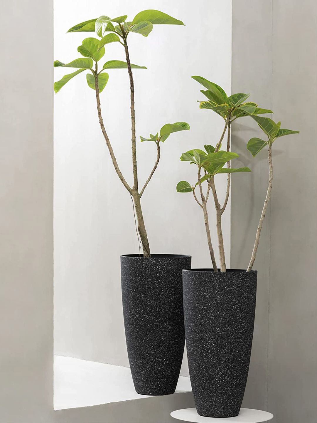 

The Art House Black Printed Ceramic Planter