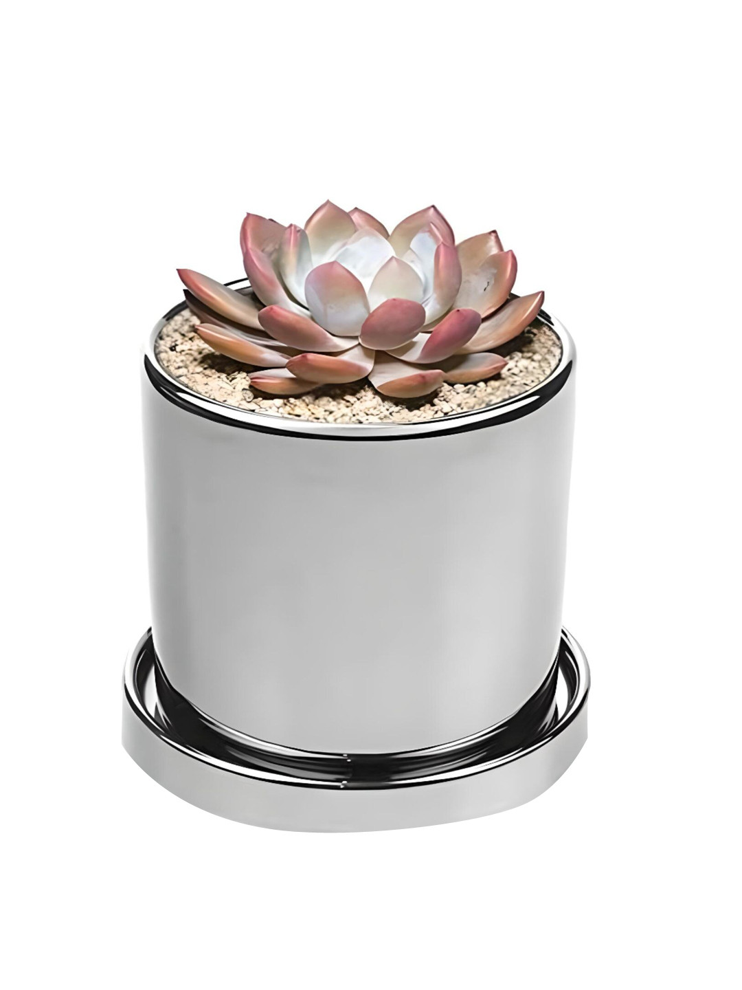 

The Art House Silver Toned Ceramic Planter With Tray