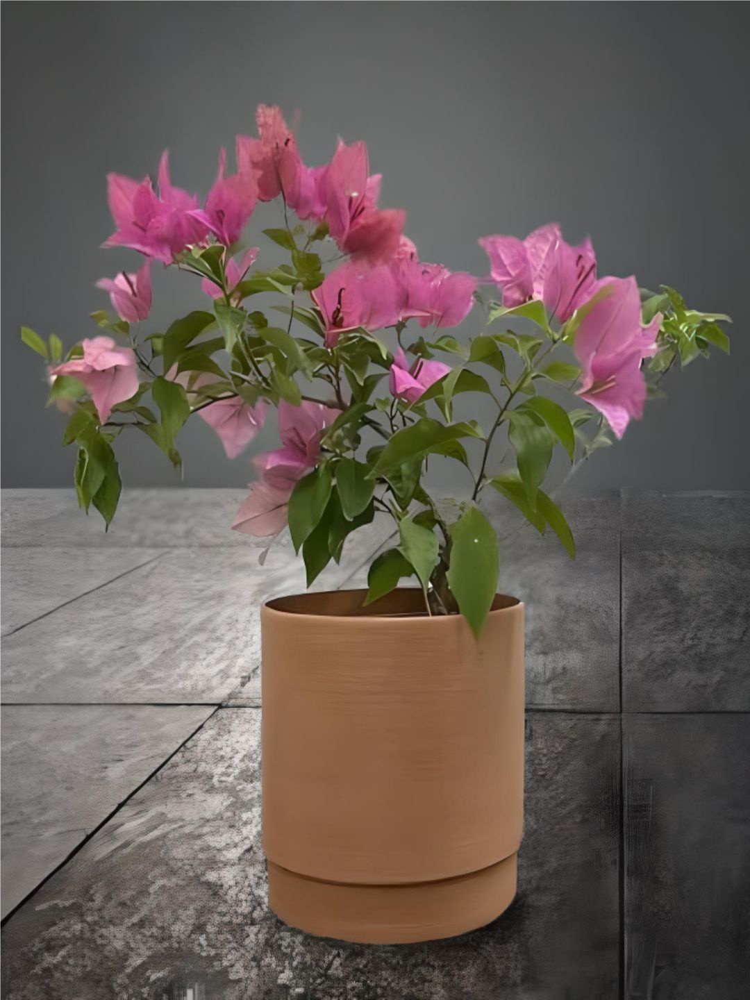 

The Art House Coral Brown Ceramic Planter