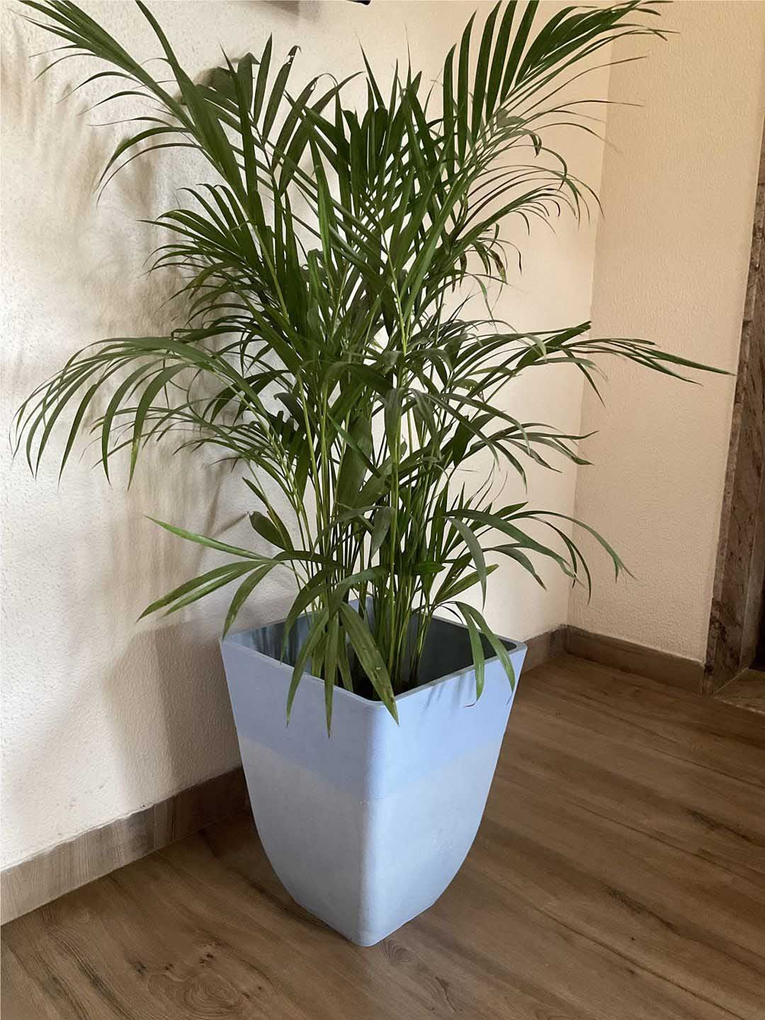 

The Art House Blue & White Colour Blocked Ceramic Planter