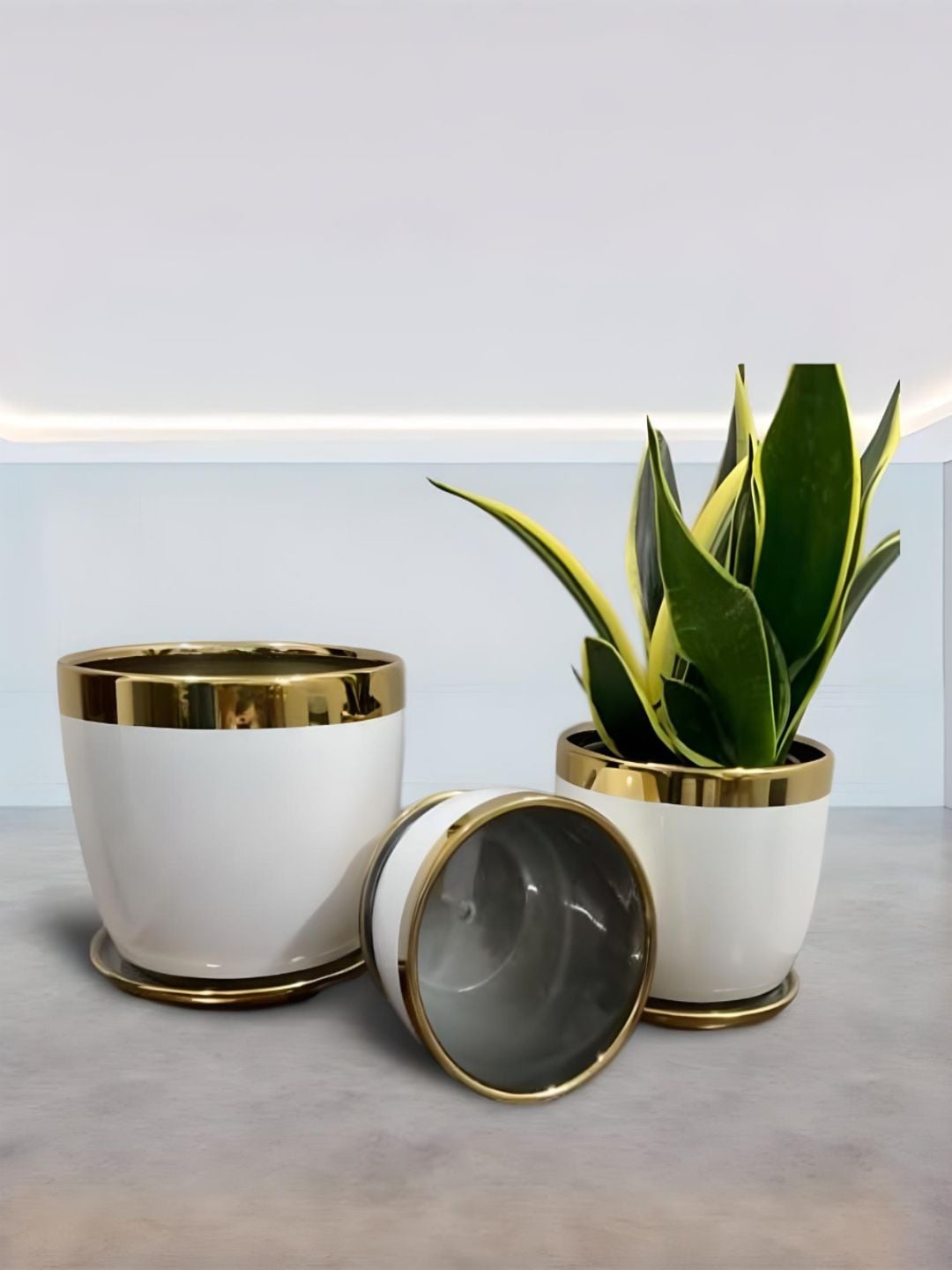 

The Art House White & Gold Toned 3 pieces Ceramic Planters