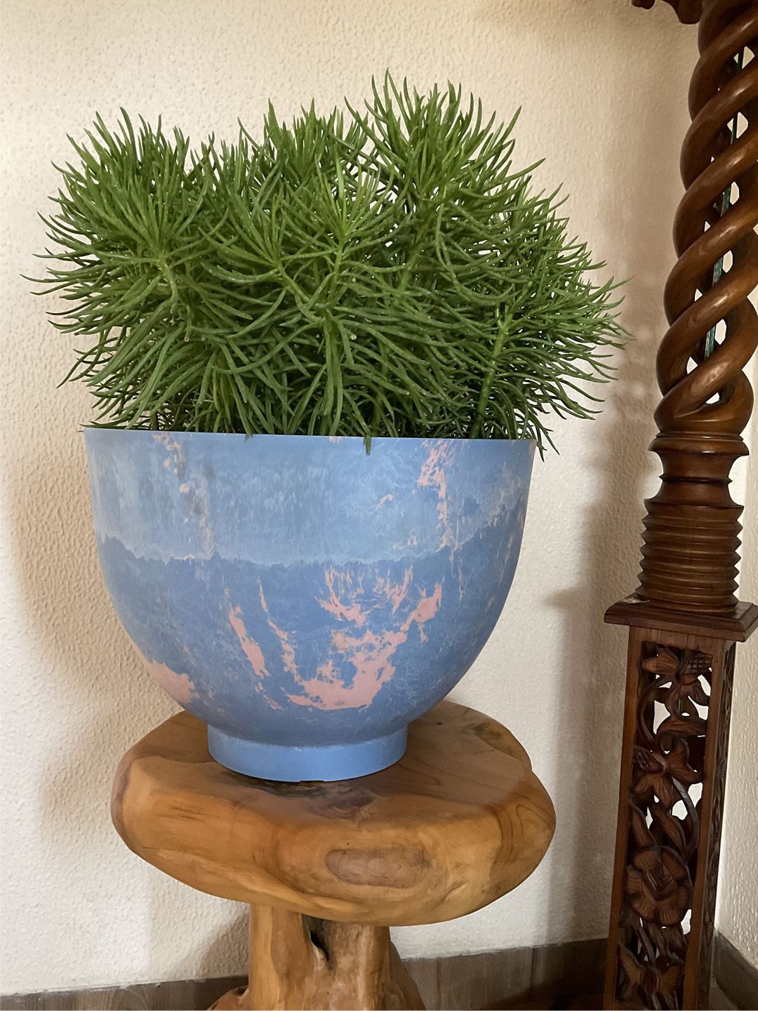 

The Art House Blue & Pink Abstract Printed Ceramic Planter