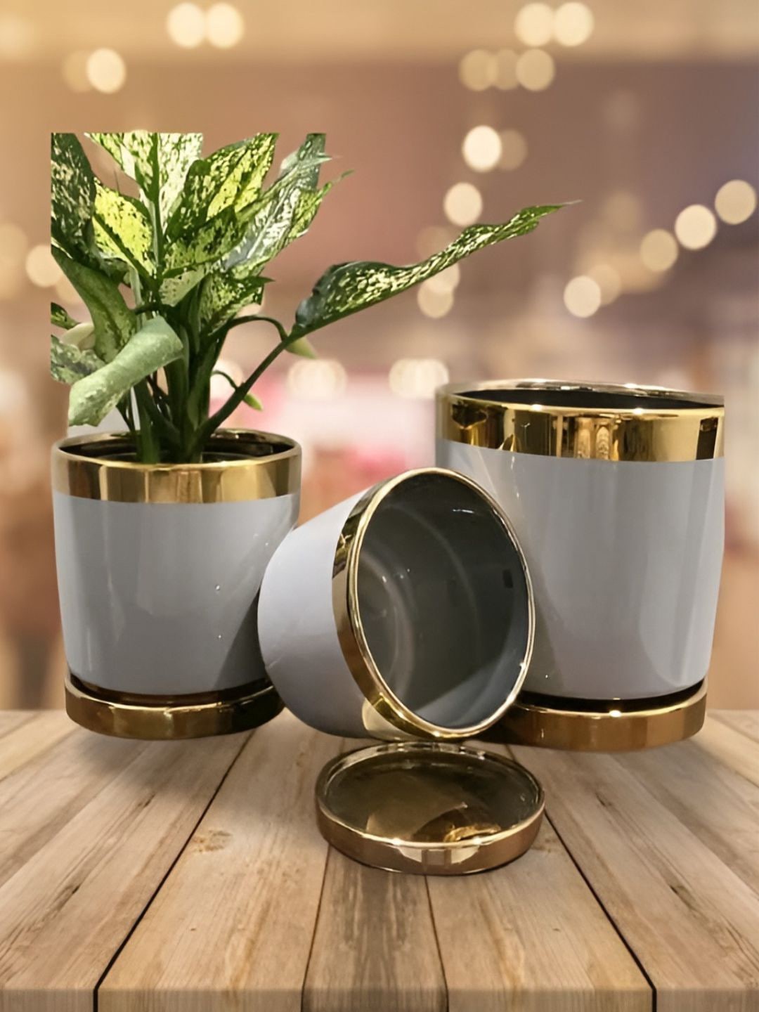 

The Art House White & Gold Toned 3 pieces Ceramic Planters
