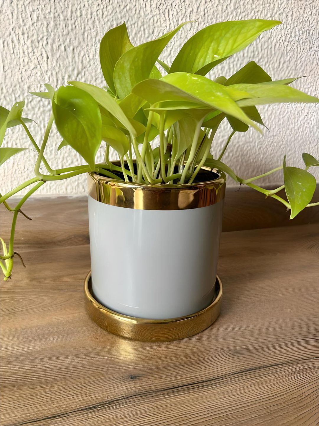 

The Art House White & Gold Toned Ceramic Planter