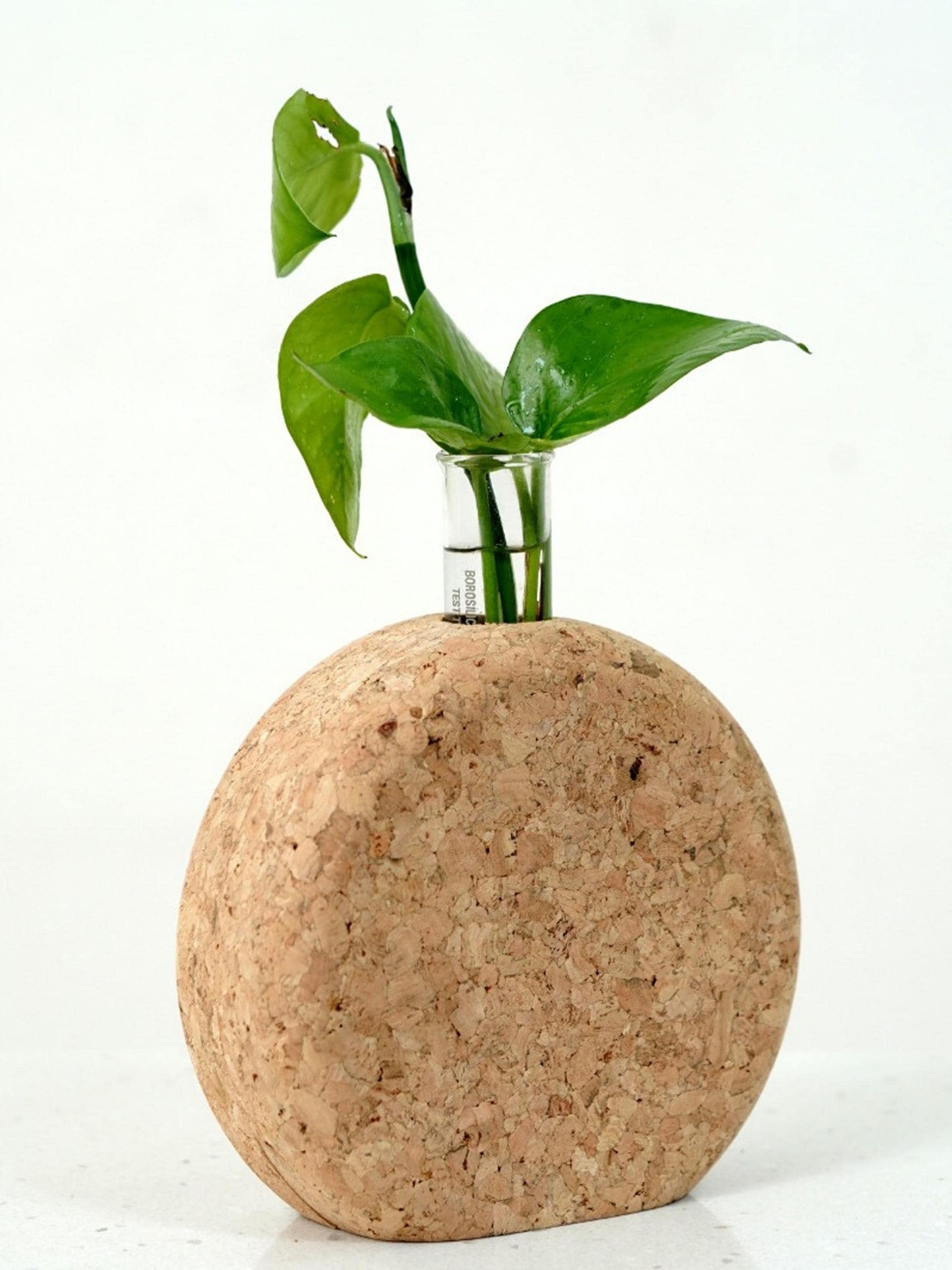 

Raw Yarns Beige & Transparent Cork Round Planter With Test Tube