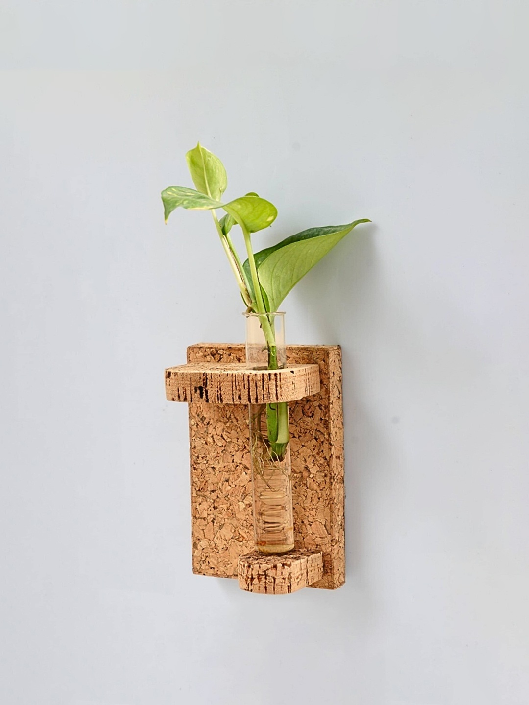 Raw Yarns Beige & Transparent Cork Planted With Test Tube For Wall