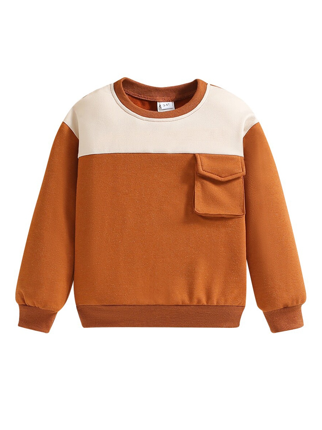 

StyleCast Boys Colourblocked Cotton Pullover Sweatshirt, Brown