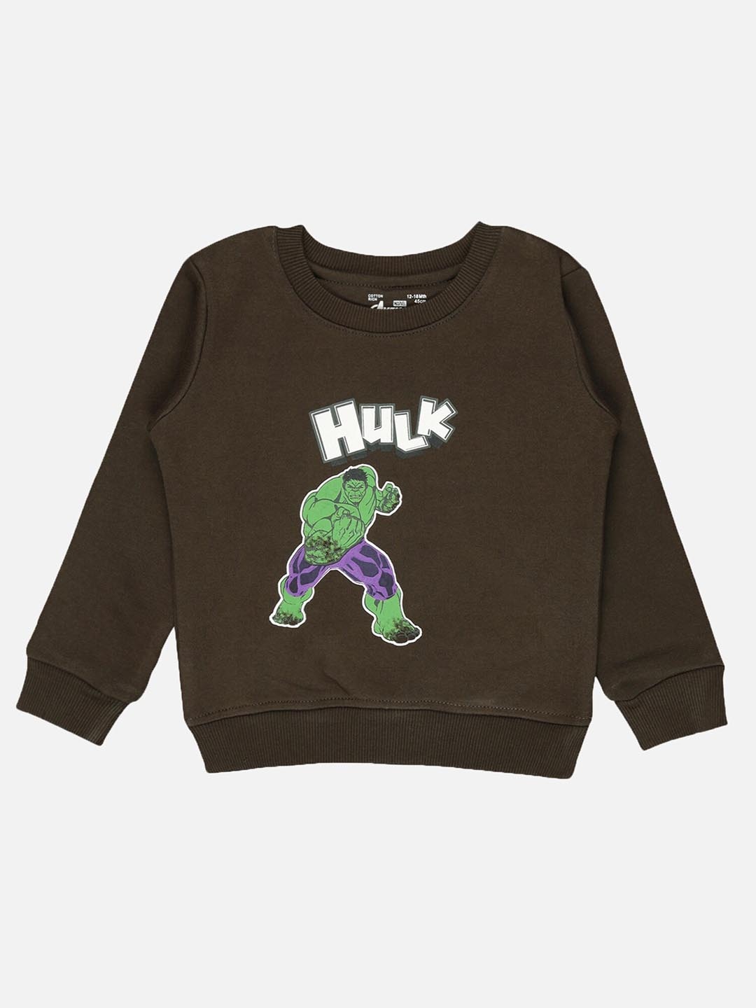 

Bodycare Kids Boys Hulk Printed Fleece Pullover, Olive