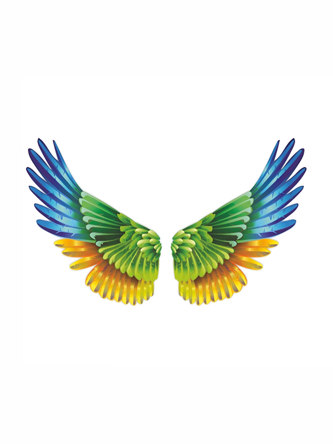 

CVANU Blue & Green Wings Wall Sticker