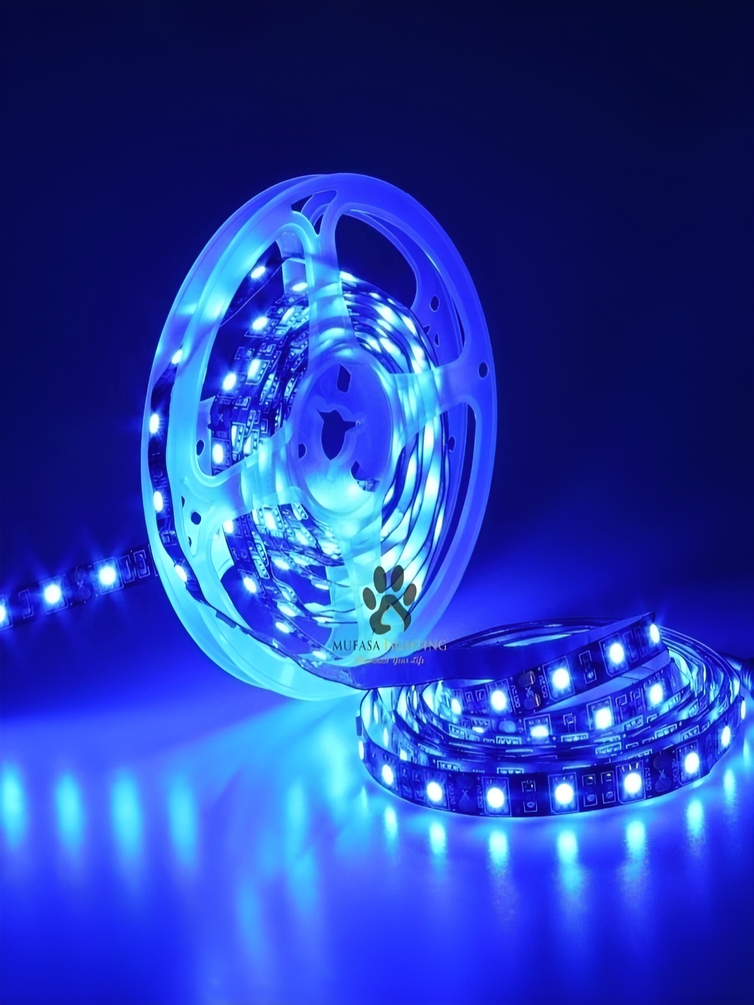 

Mufasa Blue 12V DC Rice Adapter String Lights 5m
