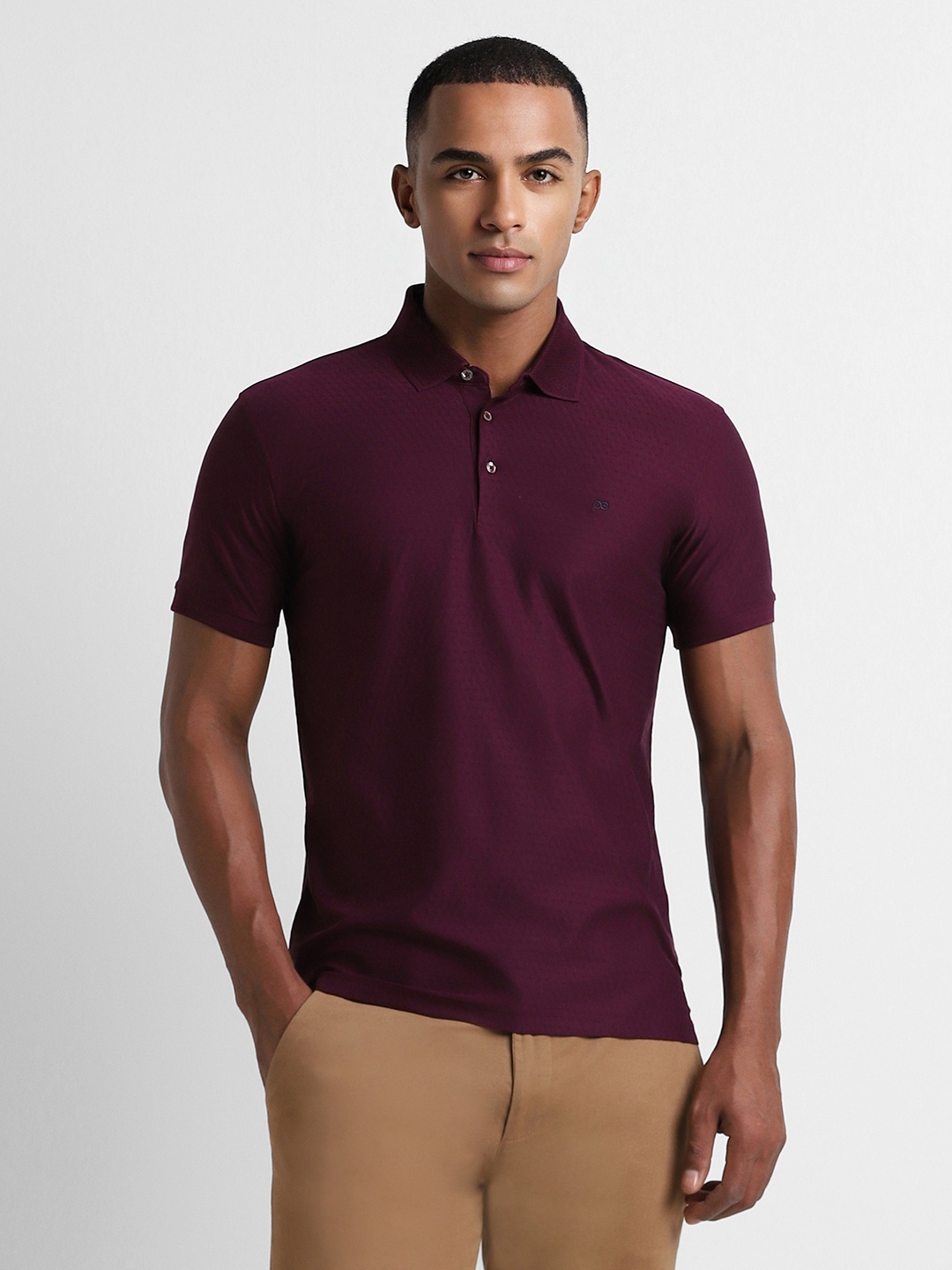 

Peter England Elite Men Maroon Polo Collar Slim Fit T-shirt