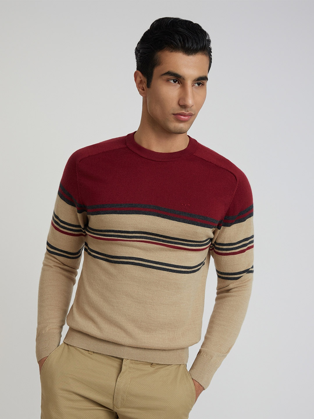 

ColorPlus Tailored Fit Striped Woollen Pullover Sweater, Beige