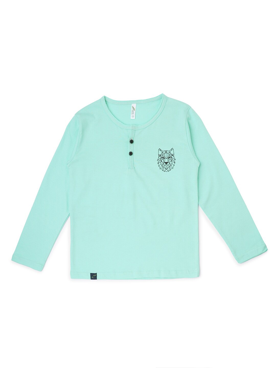 

earth conscious Boys Graphic Printed Henley Neck Cotton T-shirt, Green