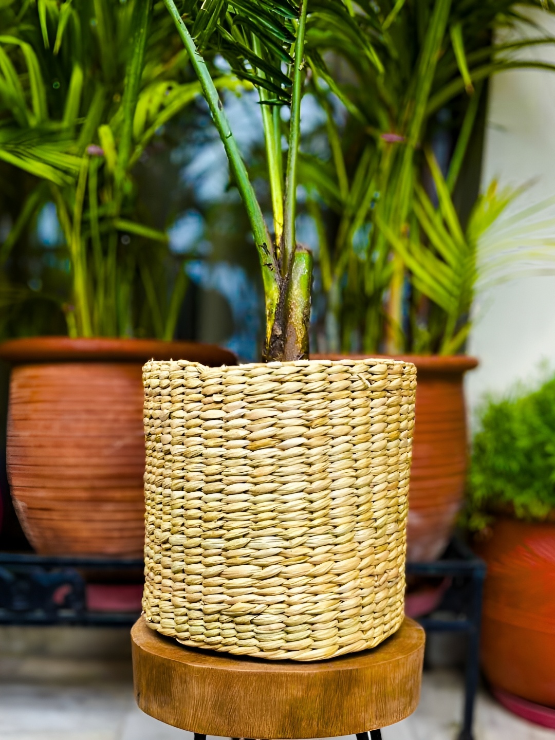 

Raw Yarns 2 Pcs Beige Self Design Seagrass Planters