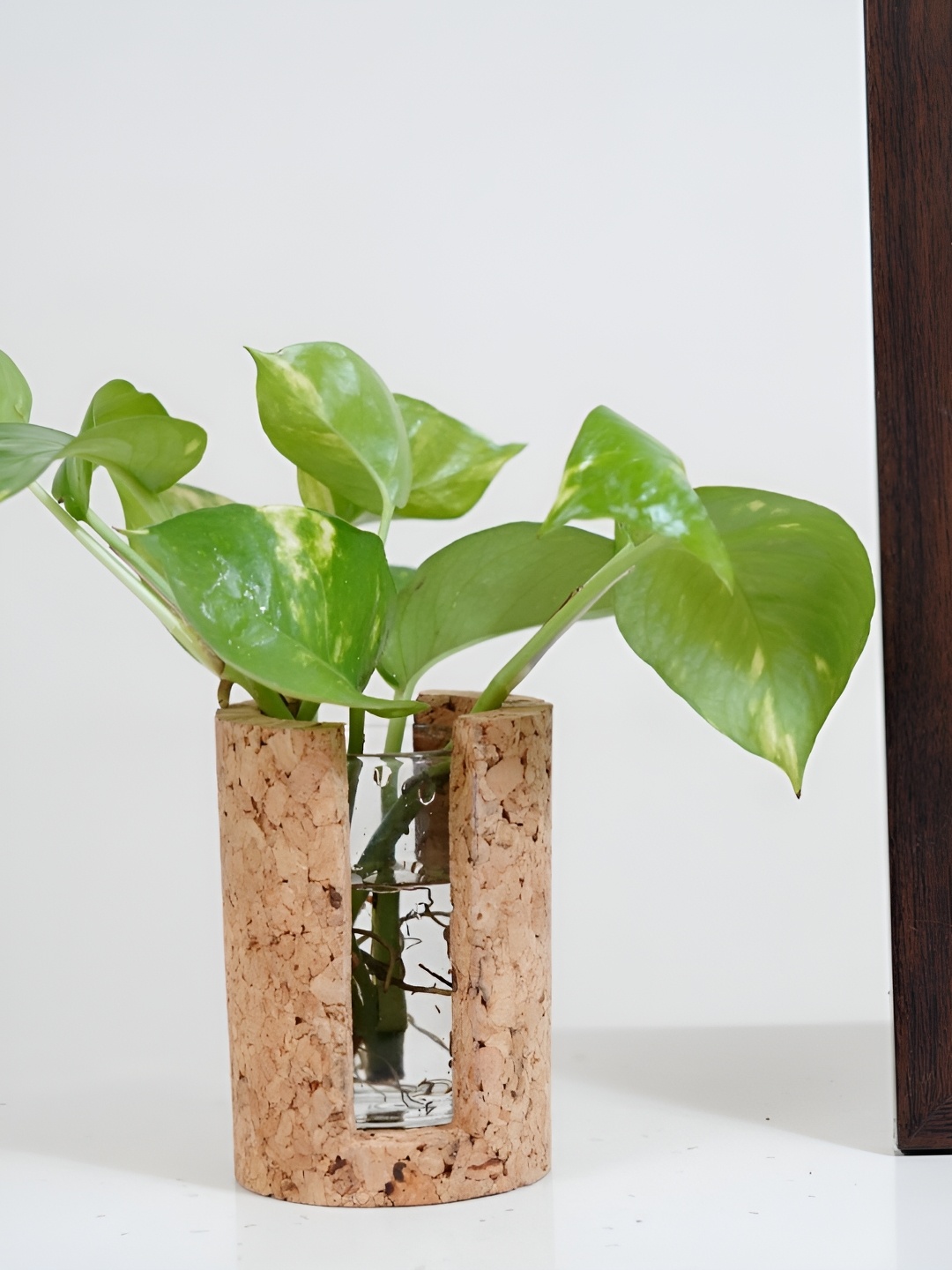 Raw Yarns Beige Textured Cork Planter