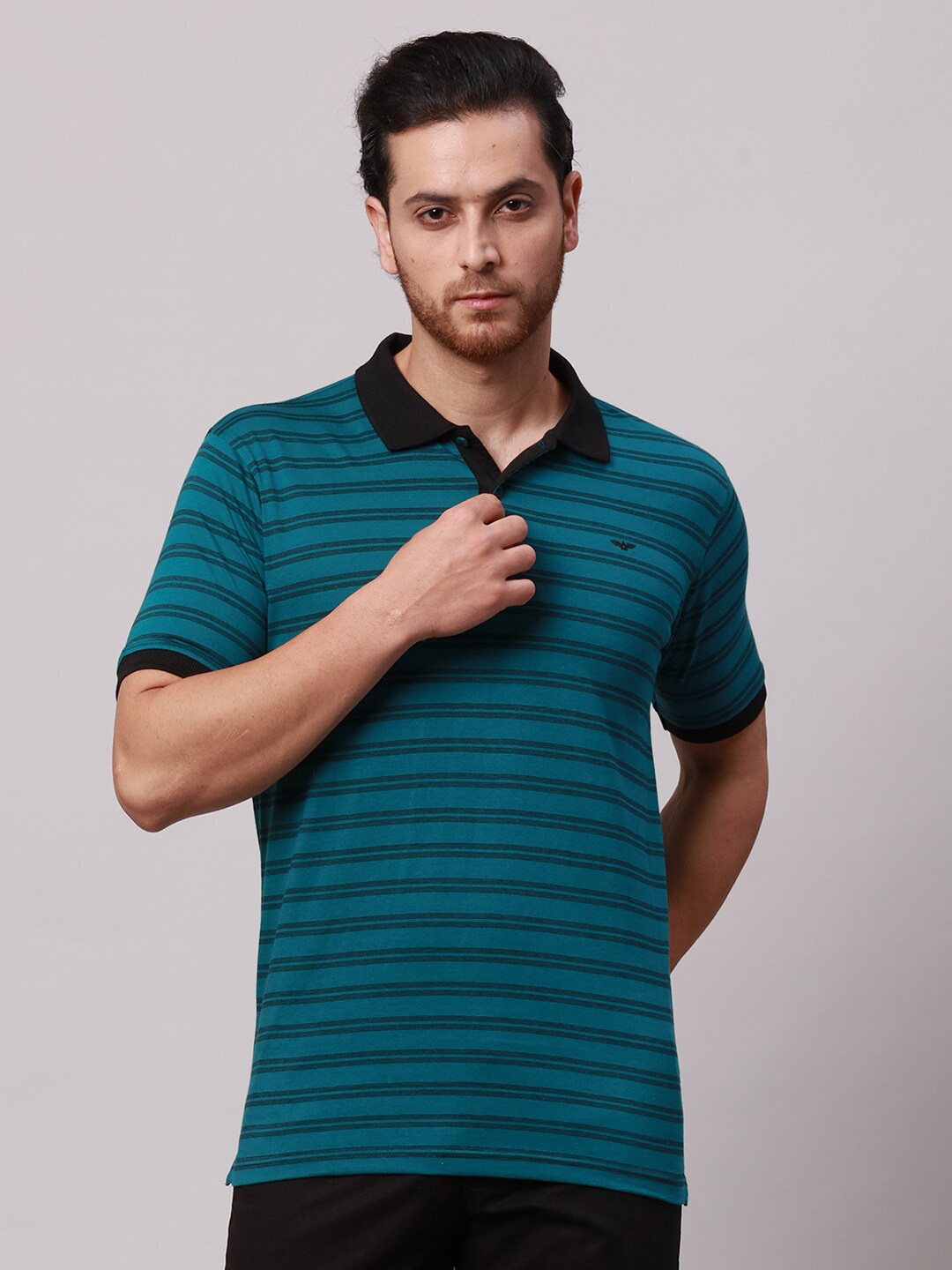 

Park Avenue Striped Polo Collar Slim Fit T-shirt, Green