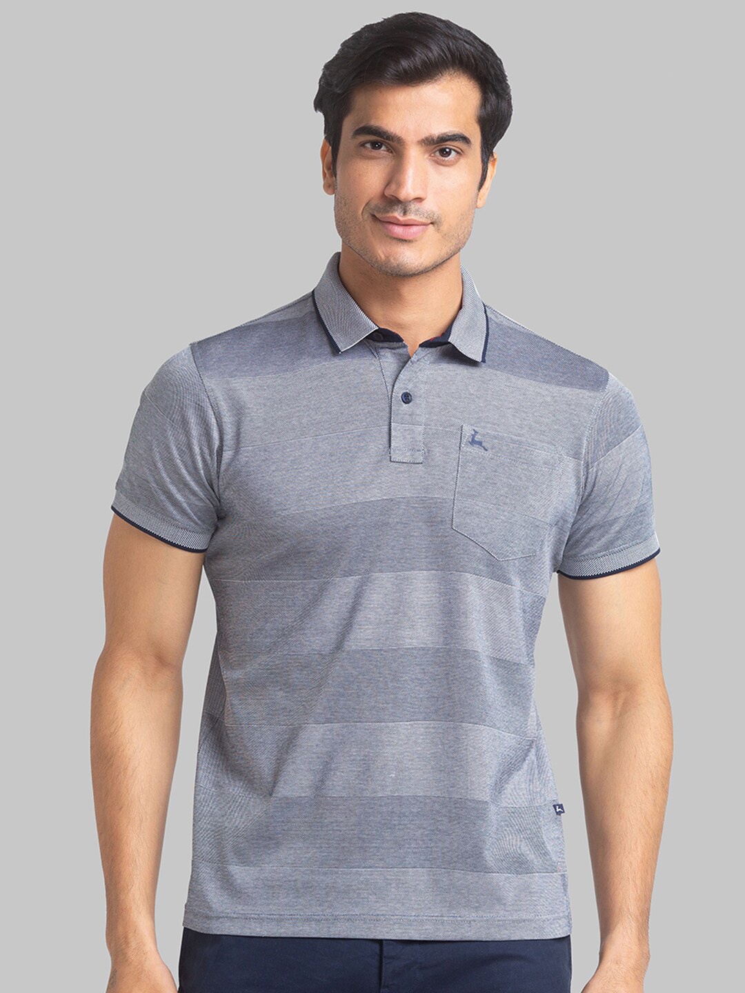 

Parx Striped Polo Collar Cotton T-shirt, Blue