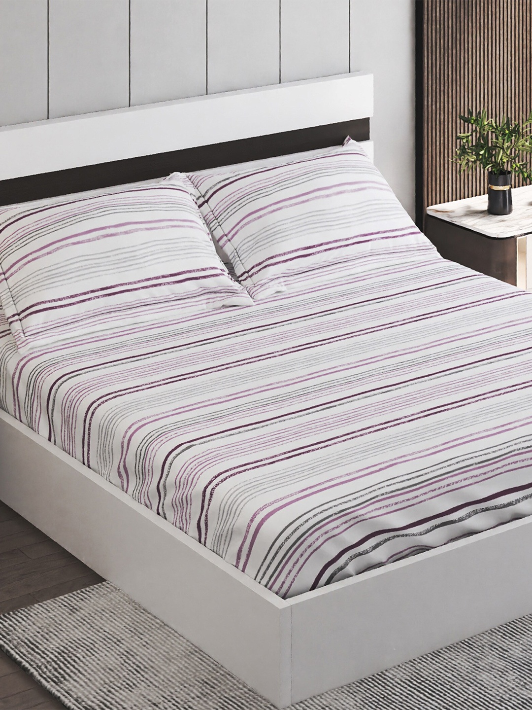 

Home Centre White & Purple Striped Cotton 150 TC King Bedsheet with 2 Pillow Covers