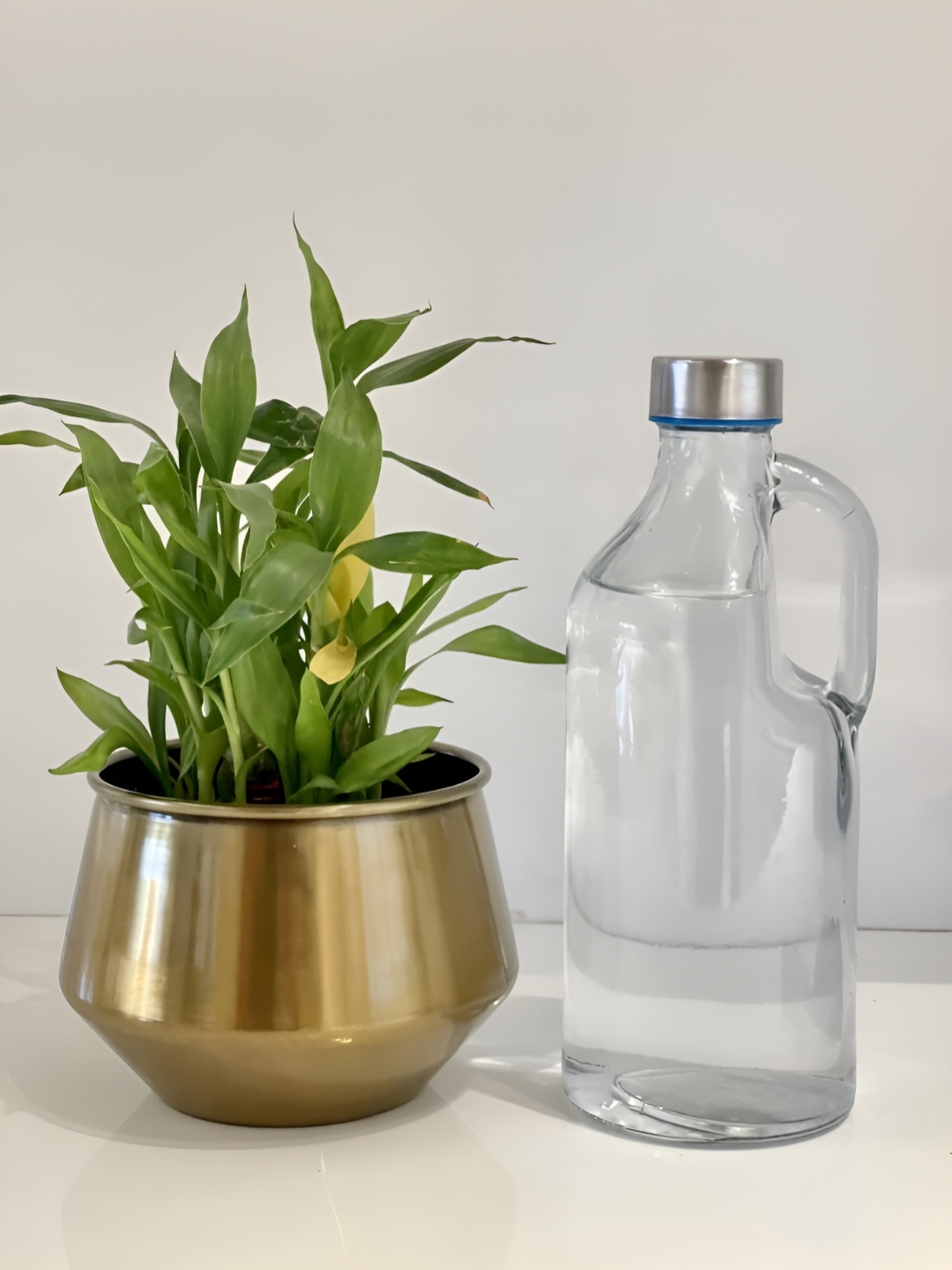 

CK HOMEZ Gold-Toned Metal Flower Vase
