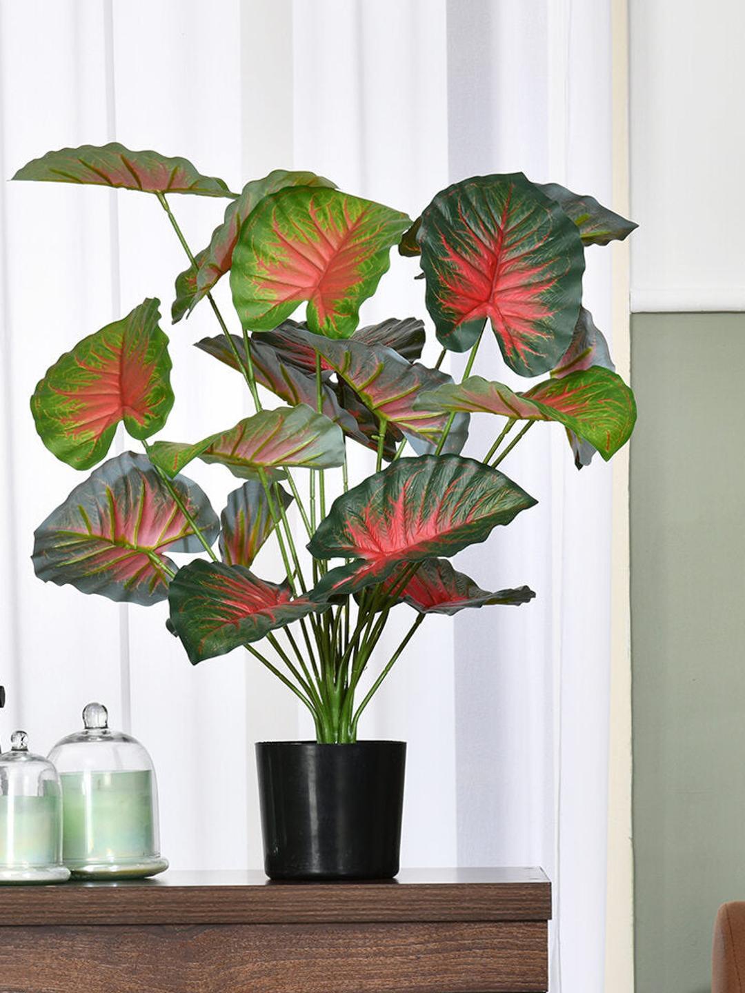 

Athome by Nilkamal Green Tropicana Fairy Taro Artificial Plant & Pot
