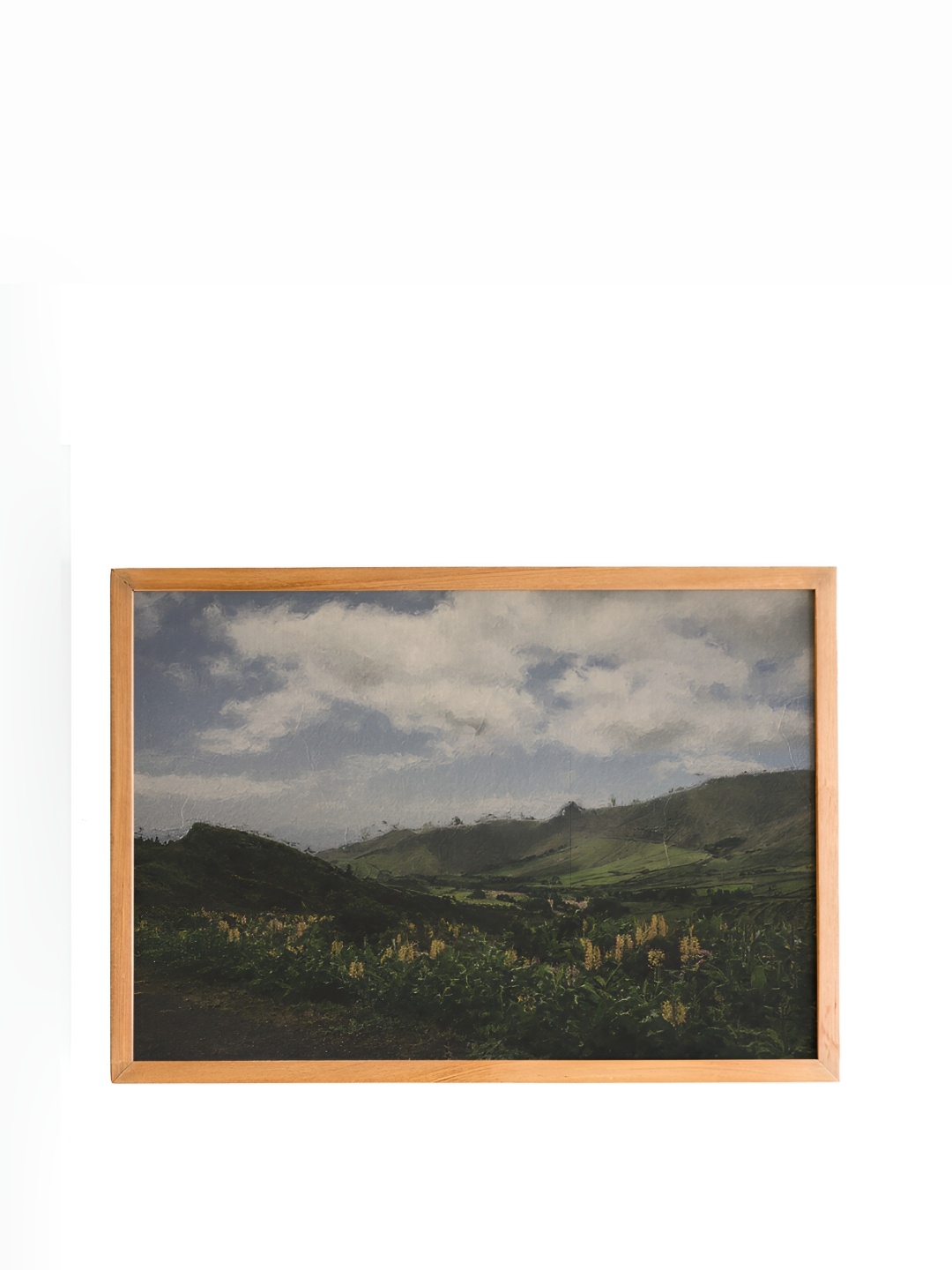 

Cadore Gifts Green & Blue Spring Valley Vintage Painting Framed Wall Art