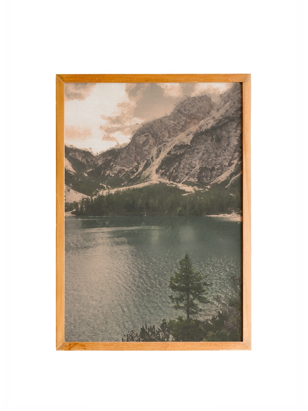 

Cadore Gifts Beige & Green Vintage Painting Wall Art