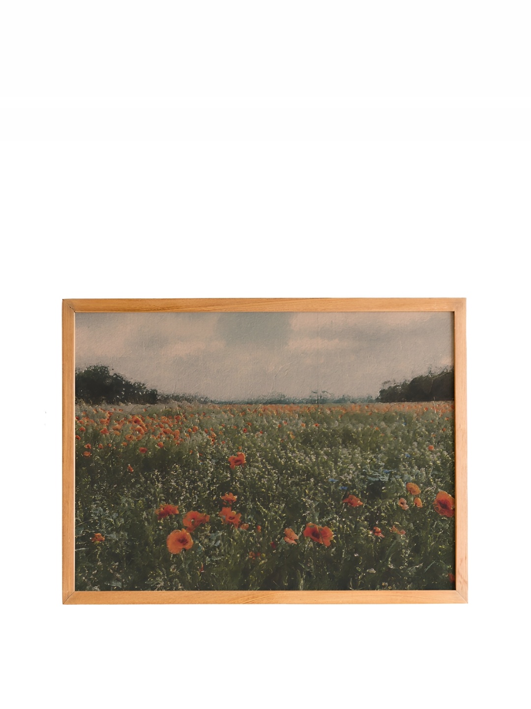 

Cadore Gifts Green & Orange Flower Field Vintage Painting Wall Art