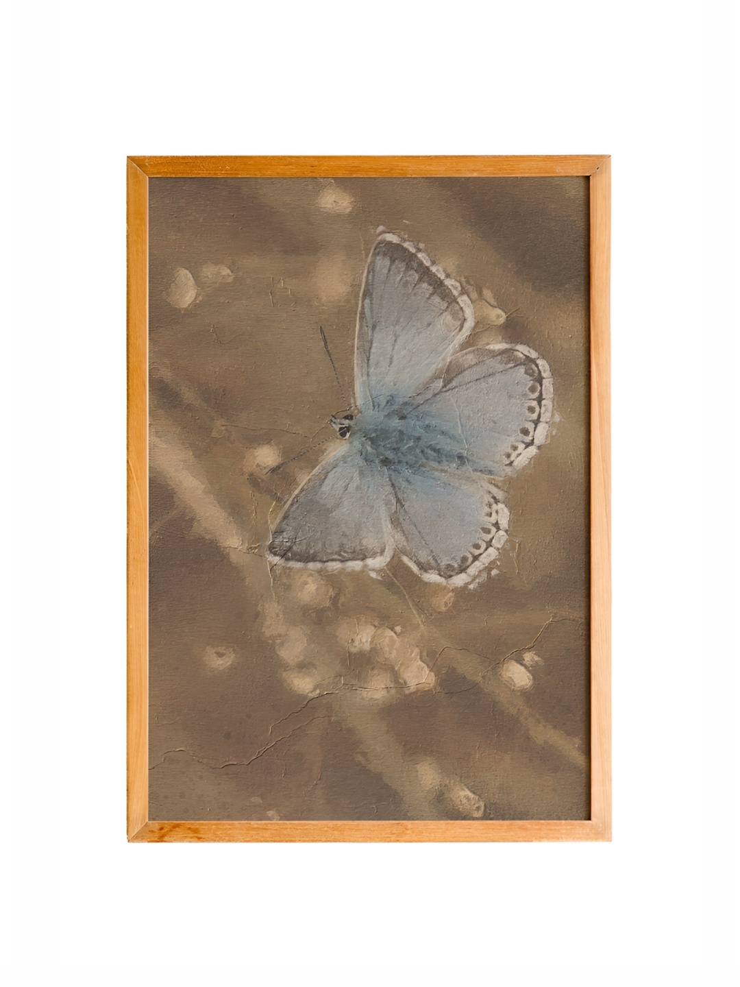 

Cadore Gifts Beige & Blue Butterfly Vintage Painting Framed Wall Art