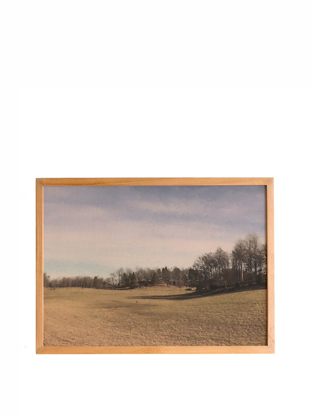 

Cadore Gifts Beige 1 Piece Synthetic Wooden Vintage Wall Art