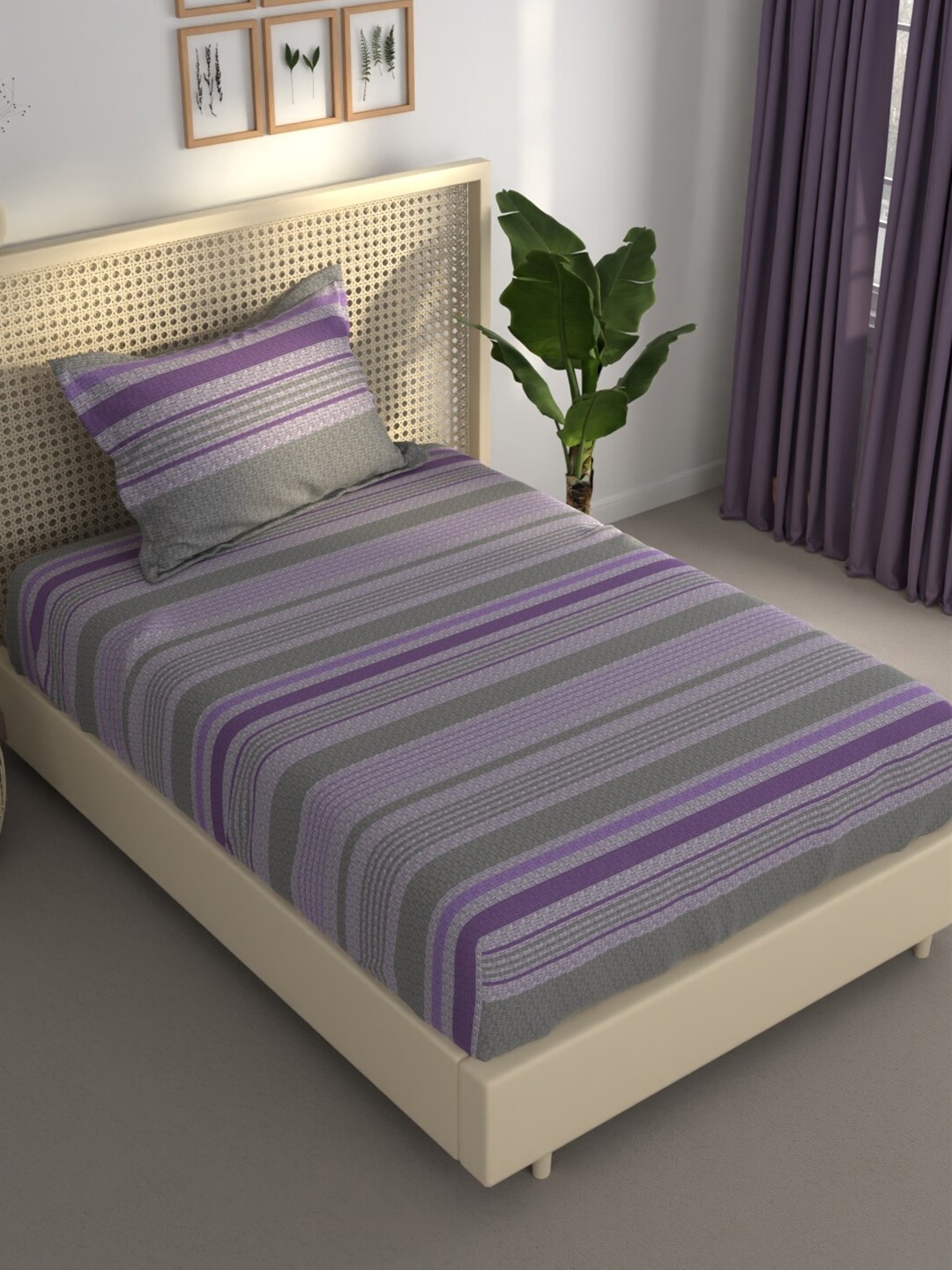 

BIANCA Estonia Grey Purple Striped 120 TC Single Bedsheet With 1 Pillow Covers