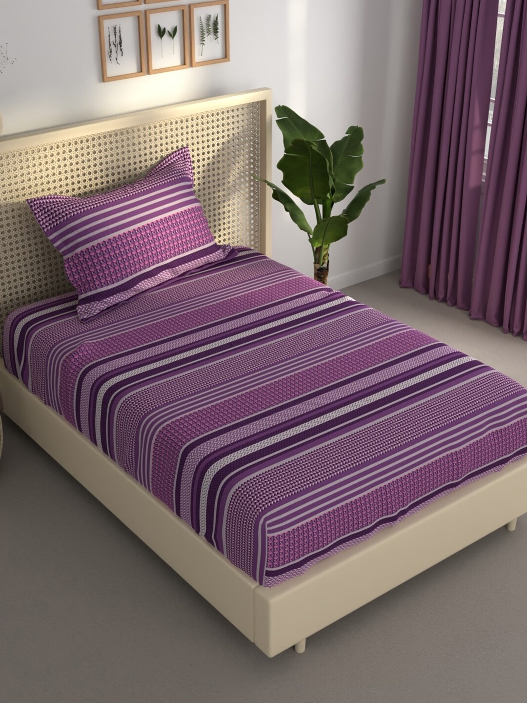 

BIANCA ESTONIA Purple & Pink Striped 120 GSM 120 TC Single Bedsheet with 1 Pillow Cover