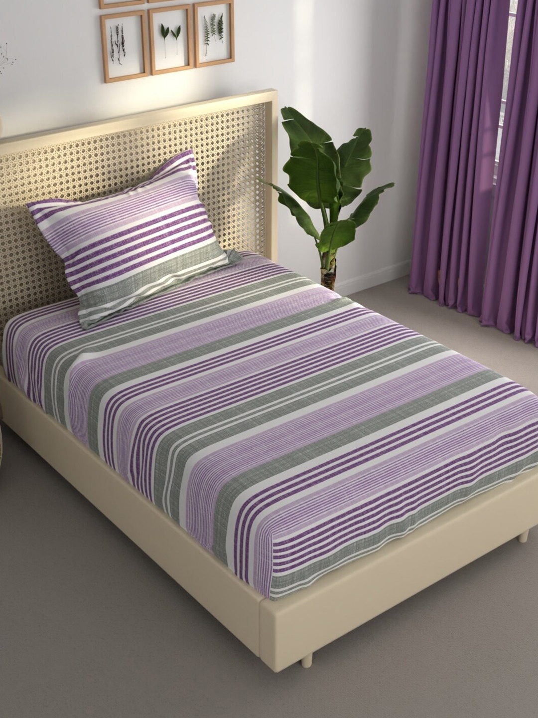 

BIANCA Estonia Purple & Grey Striped 120 TC Single Bedsheet & Pillow Cover 120 GSM