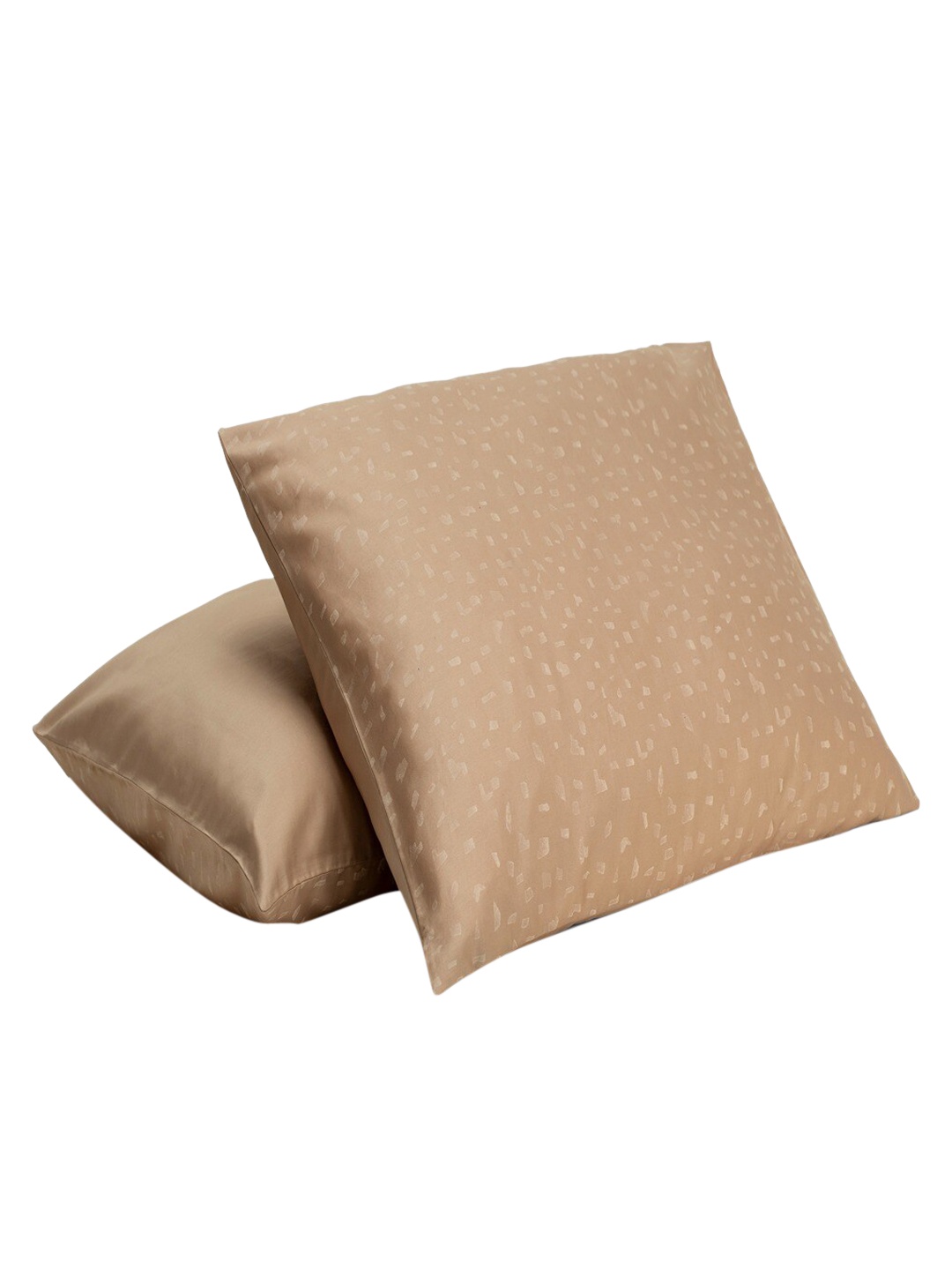 

Himeya Beige 2 Pieces Abstract Printed 300TC Pure Cotton Rectangle Pillow Covers