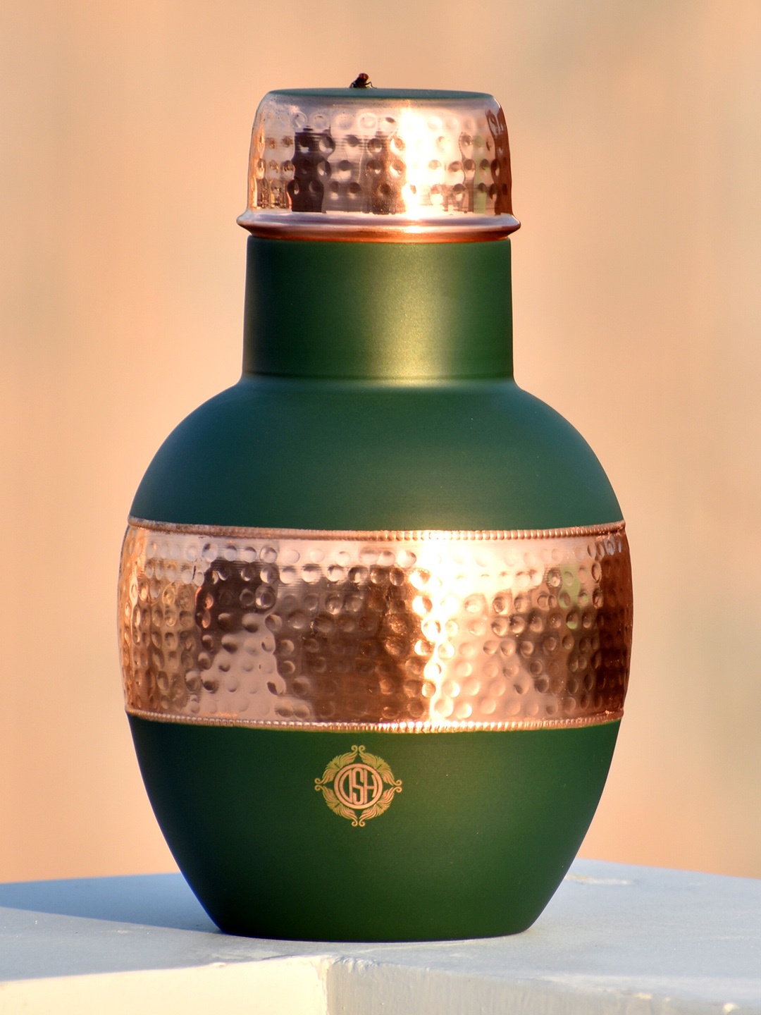 

DSH Crafting Your Curiosity Brown & Green Apple Pot Copper Water Bottle