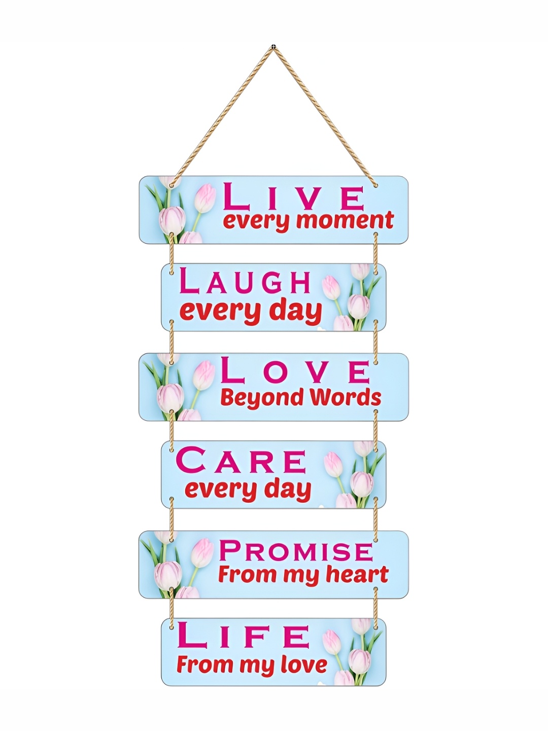 

CVANU Blue & Pink Motivational Quotes Painted Rectangle Wooden Wall Hanging