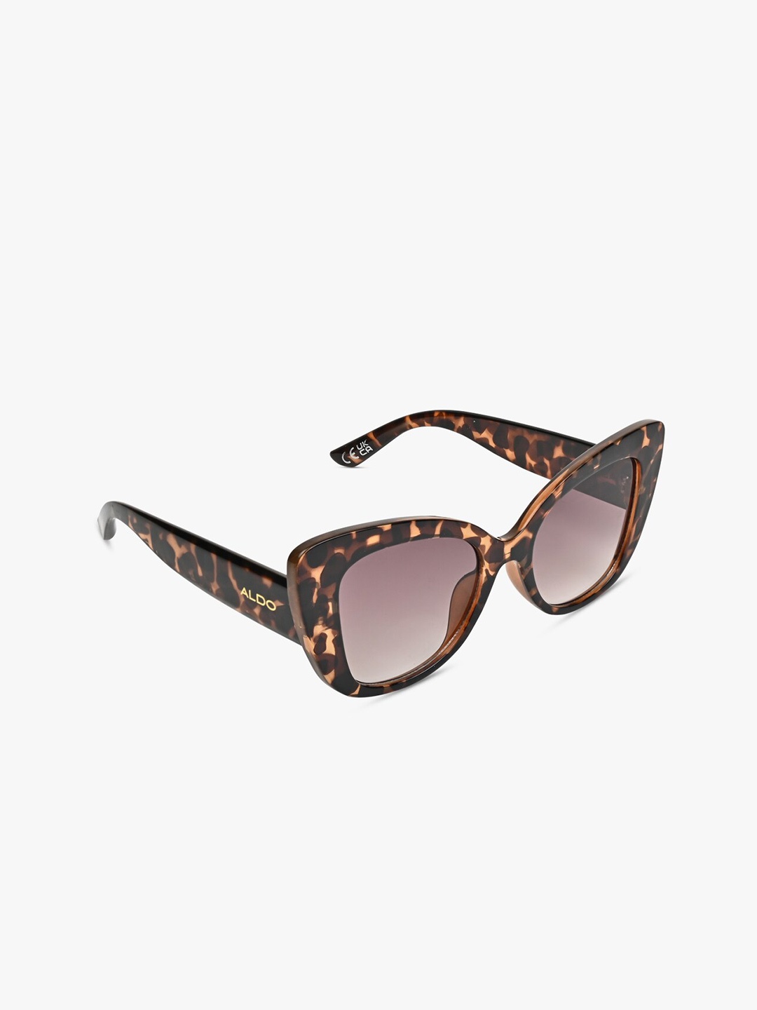 

ALDO Women Brown Wayfarer Sunglass ELENTERIEL240