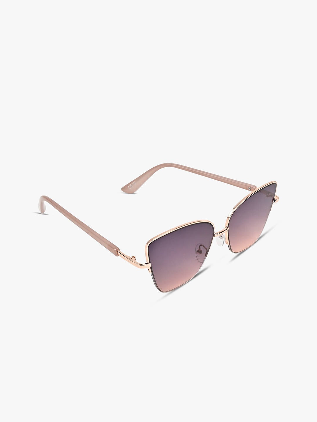 

ALDO Women Wayfarer Sunglasses, Purple