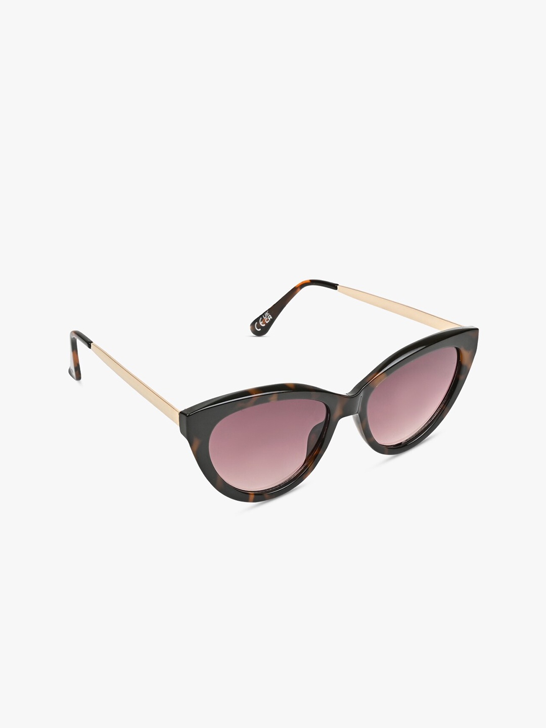 

ALDO Women Wayfarer Sunglass GAVOBRELIA240, Purple