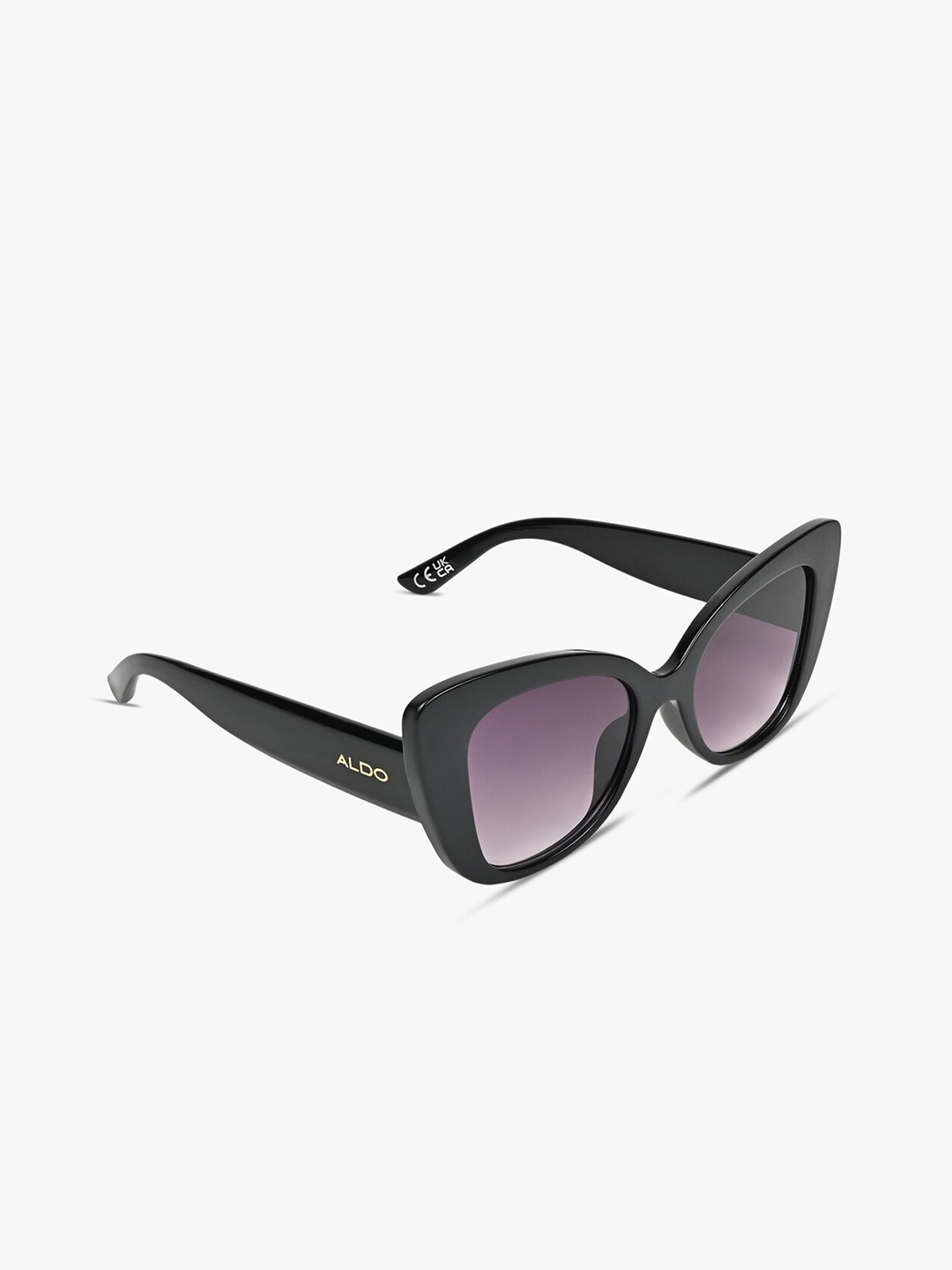 

ALDO Women Butterfly Sunglasses ELENTERIEL001, Purple