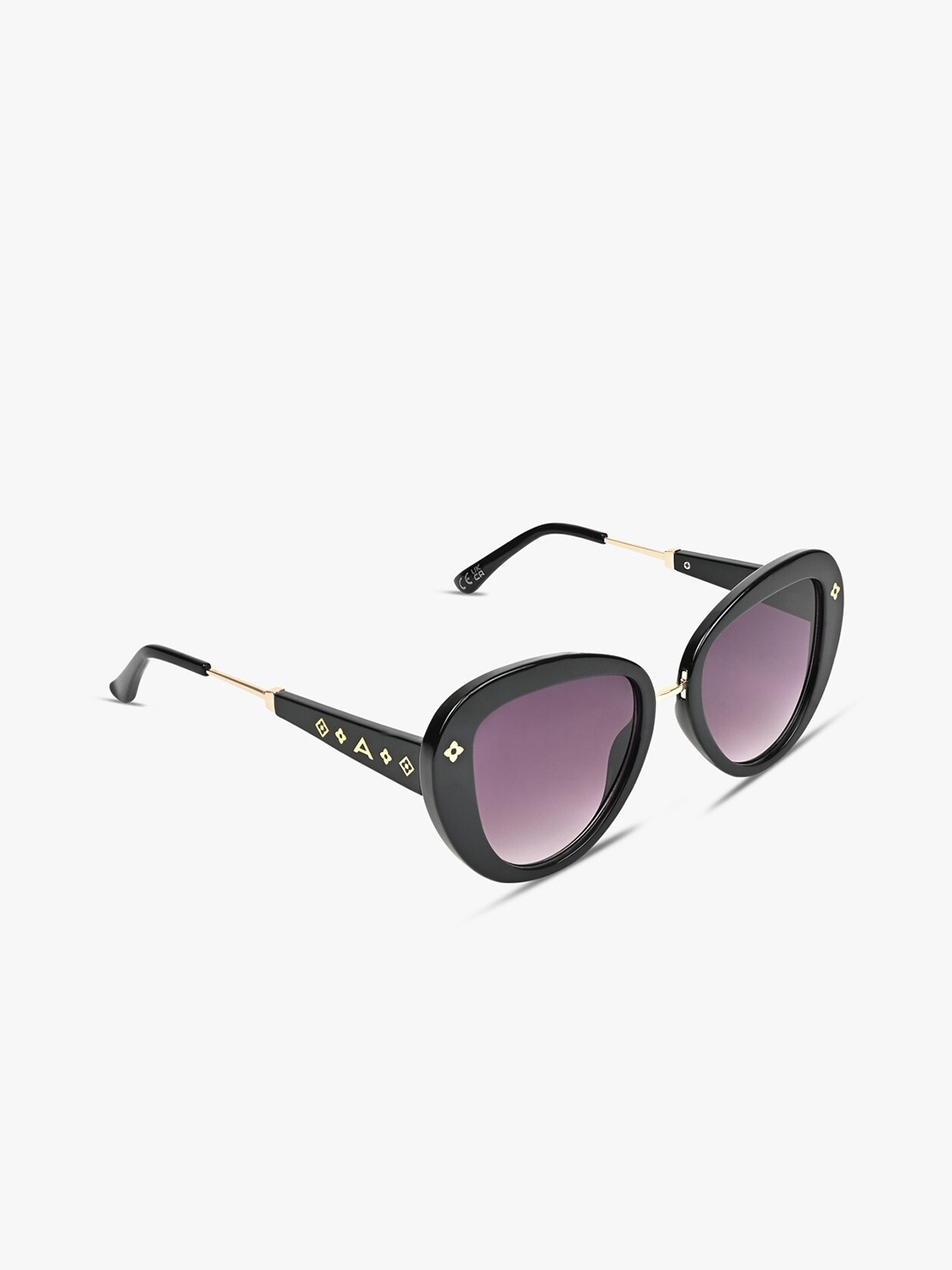

ALDO Women Wayfarer Sunglass ICONISUN970, Purple