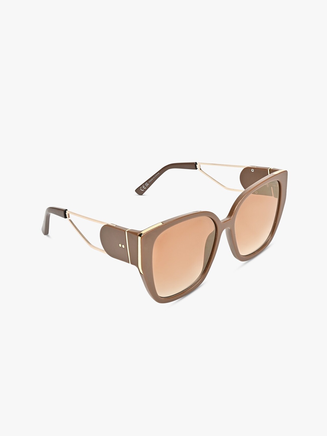 

ALDO Women Brown Wayfarer Sunglasses DEVOBANNA200