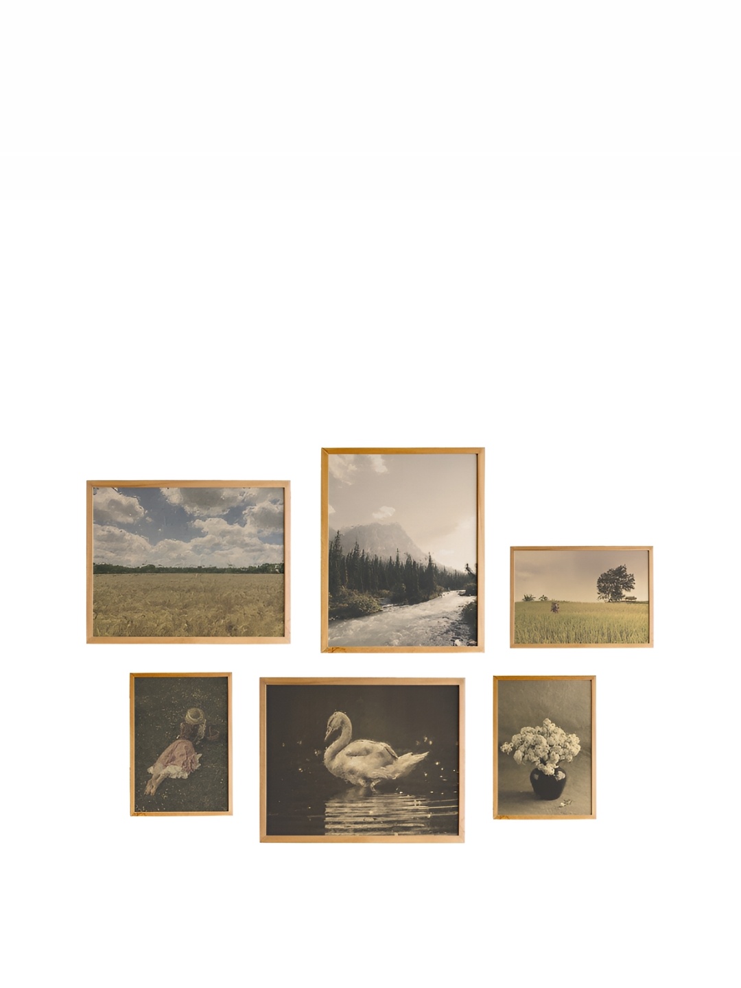 

Cadore Gifts Beige & Brown 6 Pieces Floral & Botanical Wall Arts
