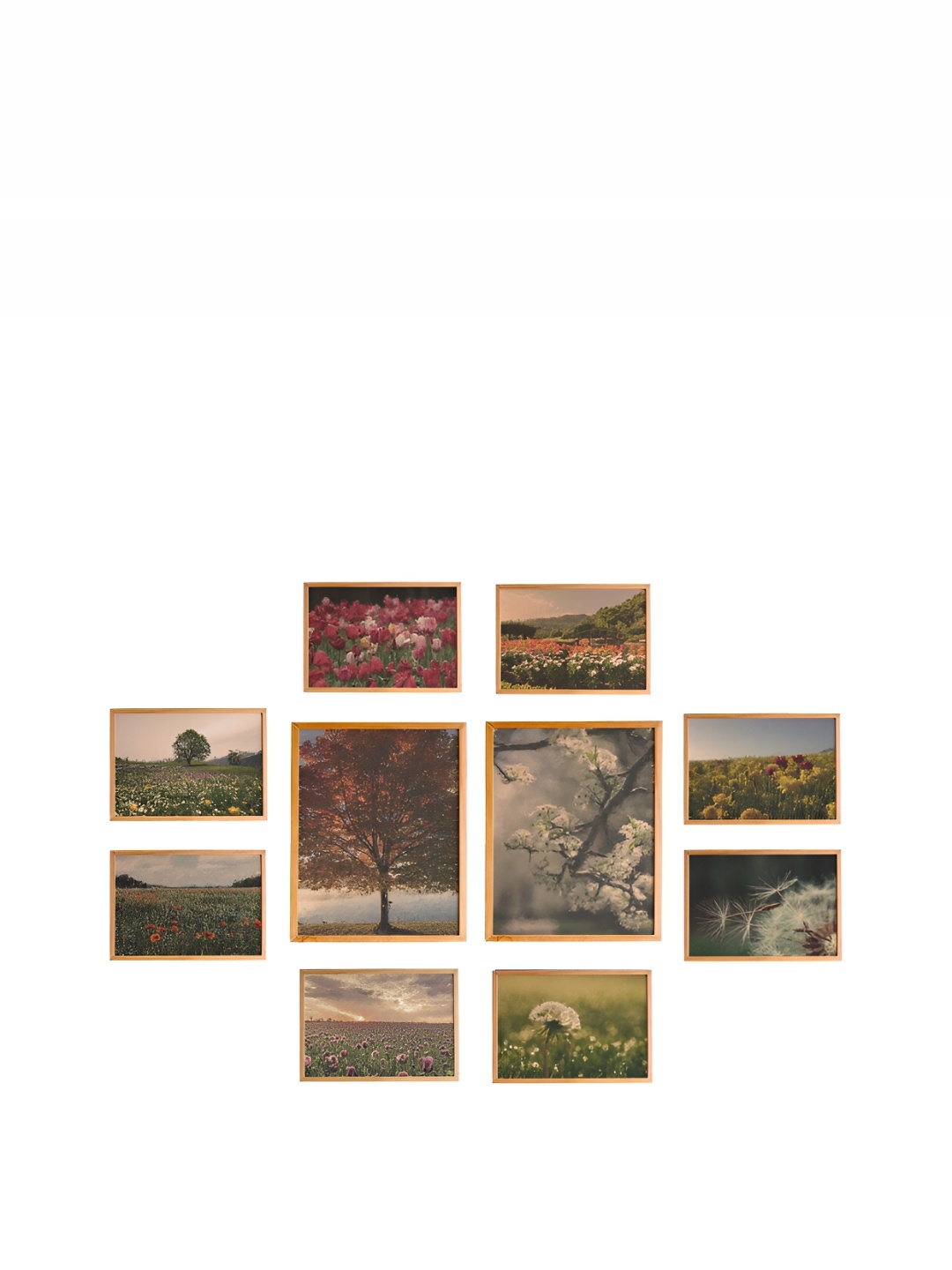 

Cadore Gifts Beige 6 Pieces Photographs Synthetic Wood Wall Art