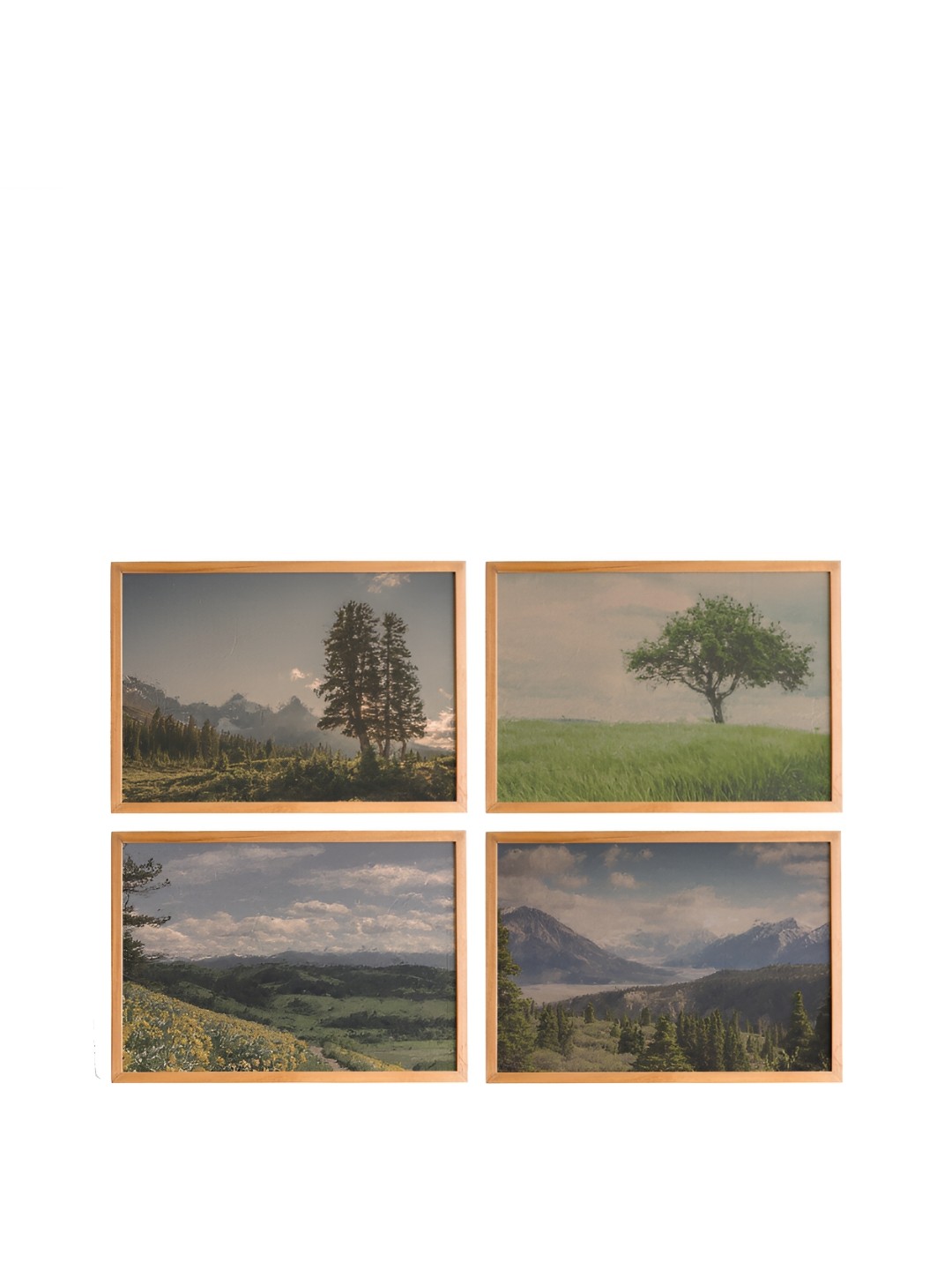 

Cadore Gifts Beige& Green 4Pcs Vintage Wall Paintings
