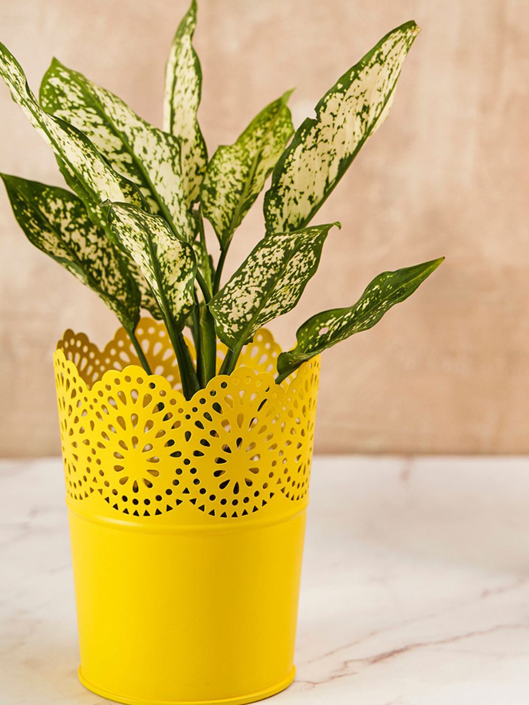 

DecorTwist Yellow Metal Planter Pot