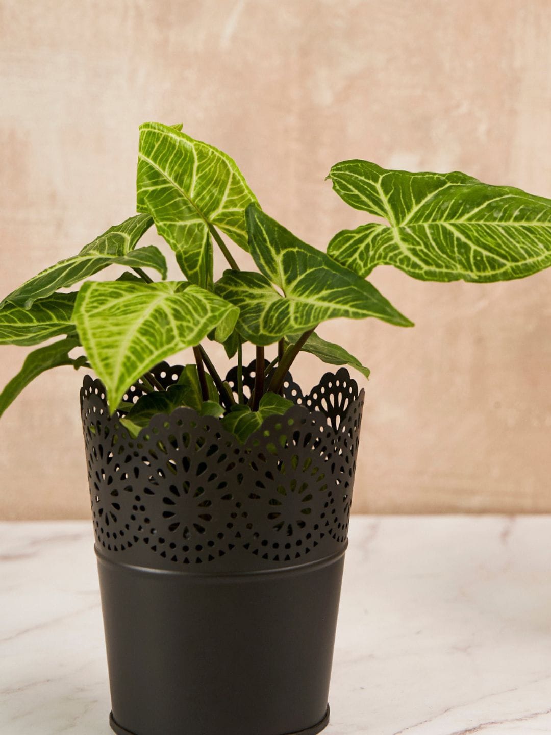 

DecorTwist Black Metal Planter Pot